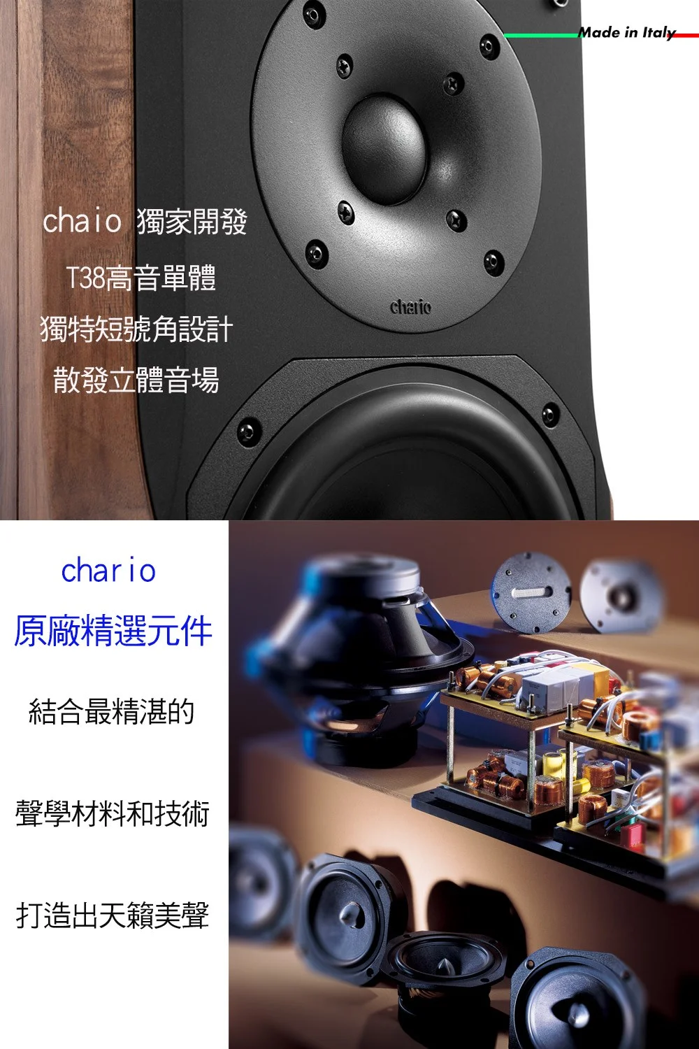chario LYNX II 山貓星座 II --義大利手工實木喇叭  胡桃實木落地喇叭 