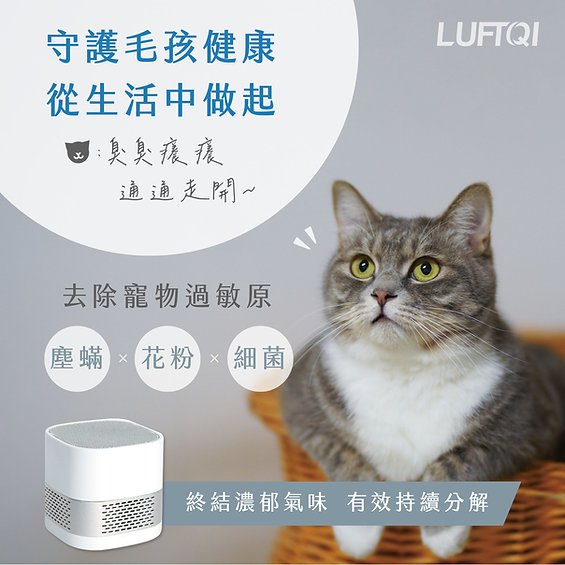 【LUFT Cube光觸媒空氣清淨機-隨行版】空氣淨化器/免耗材/好清潔/抗菌除臭/套房/車用/辦公/出國旅遊/隨身型